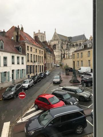 Les Dames Au Chapeau Vert Saint-Omer  Exteriör bild
